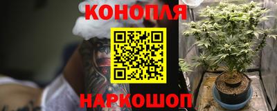 индика Малгобек