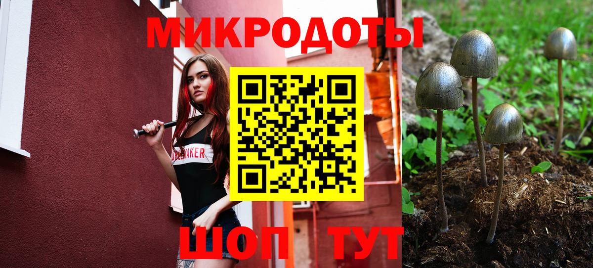Псилоцибиновые грибы мицелий Фрязино