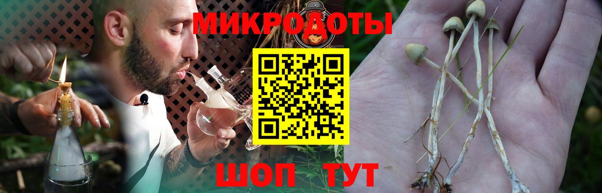 Галлюциногенные грибы ЛСД  Псилоцибиновые грибы мицелий  Вход с VPN  Фрязино 